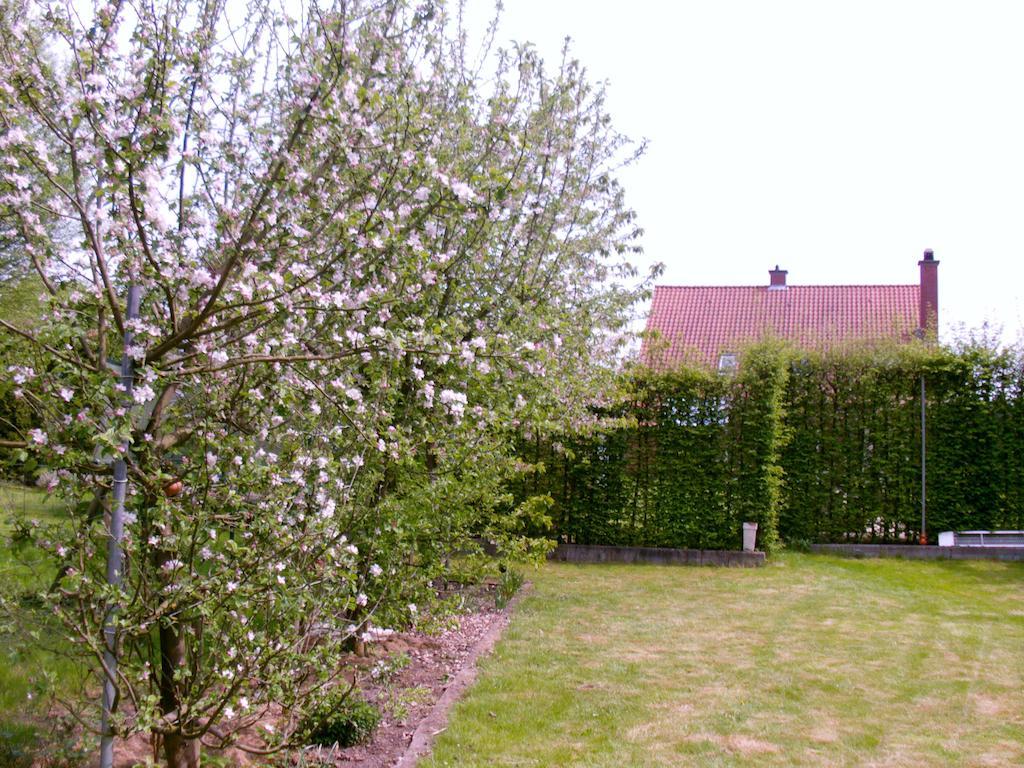 B2B-Flats Apartment Ternat Bagian luar foto
